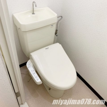 落ち着いた色調のトイレです