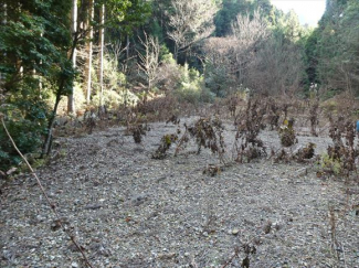 兵庫県丹波篠山市味間奥の画像