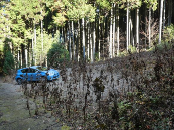 兵庫県丹波篠山市味間奥の画像