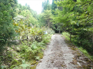 兵庫県丹波篠山市味間奥の画像