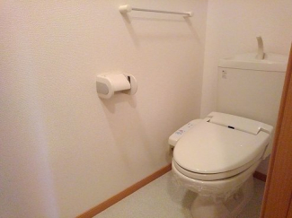 落ち着いた色調のトイレです