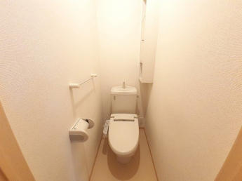 落ち着いた色調のトイレです