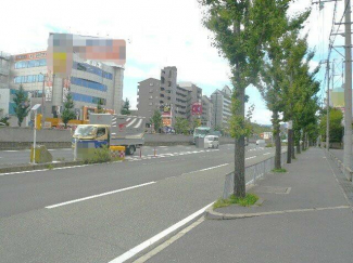 道路