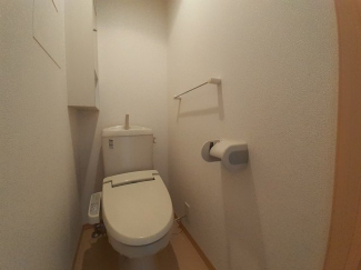 落ち着いた色調のトイレです