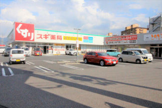 スギドラッグ 富田林甲田店まで800m