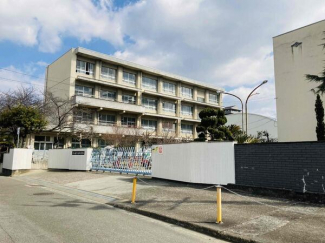 松山市立清水小学校まで343m