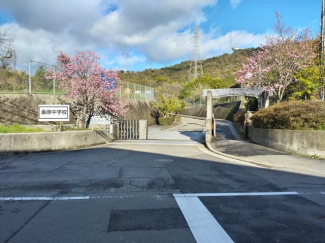 松山市立桑原中学校まで899m