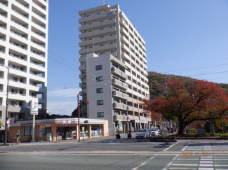 セブンイレブン松山本町３丁目店まで246m