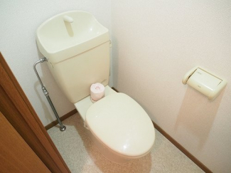 落ち着いた色調のトイレです