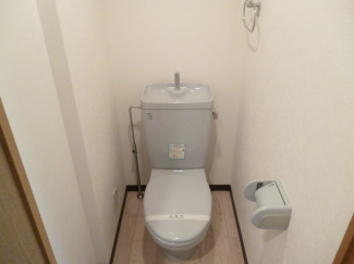 落ち着いた色調のトイレです