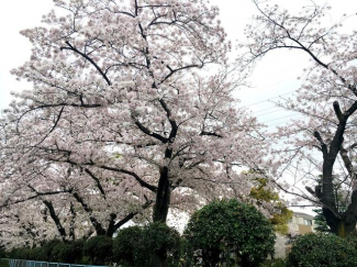 近隣に公園もあります