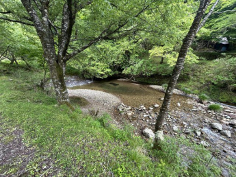 目の前に川があります。