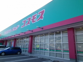 コスモス堀江店様まで750m