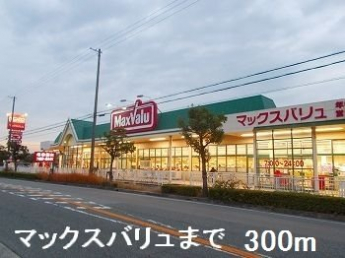 マックスバリュまで300m