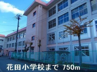 花田小学校まで750m