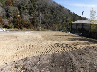 B号地