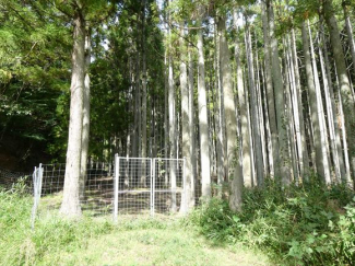 兵庫県丹波篠山市小倉の画像