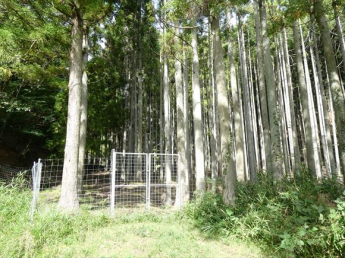 兵庫県丹波篠山市小倉の画像