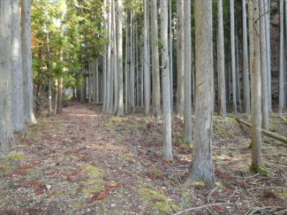 兵庫県丹波篠山市小倉の画像