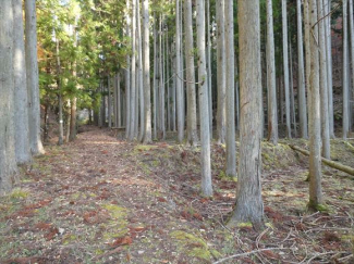 兵庫県丹波篠山市小倉の画像