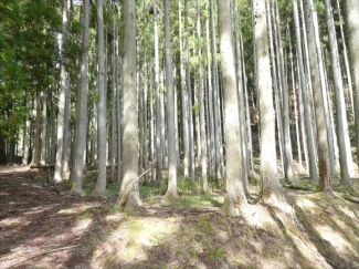 兵庫県丹波篠山市小倉の画像