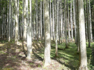 兵庫県丹波篠山市小倉の画像