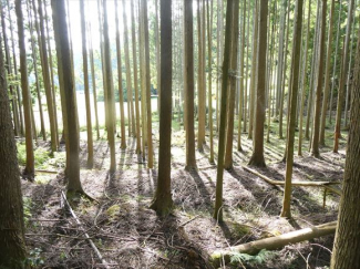兵庫県丹波篠山市小倉の画像