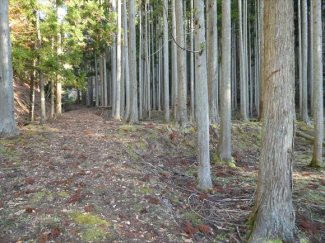 兵庫県丹波篠山市小倉の画像