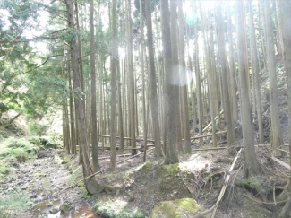兵庫県丹波篠山市小倉の画像
