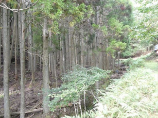 兵庫県丹波篠山市小倉の画像