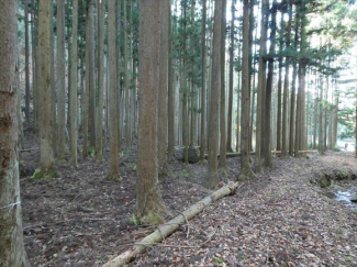 兵庫県丹波篠山市小倉の画像