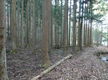 兵庫県丹波篠山市小倉の画像