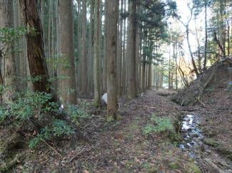 兵庫県丹波篠山市小倉の画像