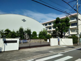 松山市立石井小学校まで639m