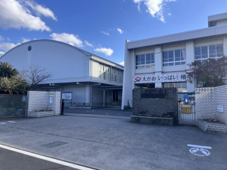 松山市立椿小学校まで800m