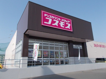 コスモス東大洲店様まで650m