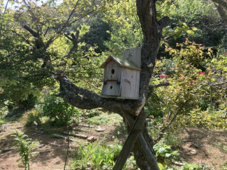 佐田岬リゾートログハウスの画像