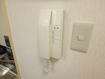 TVモニターホン設置済