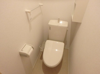 落ち着いた色調のトイレです