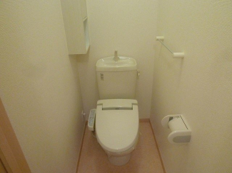 落ち着いた色調のトイレです