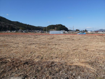 兵庫県丹波篠山市上宿の画像