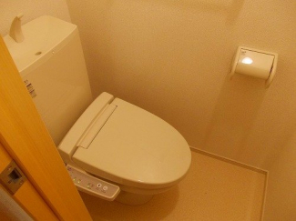 落ち着いた色調のトイレです