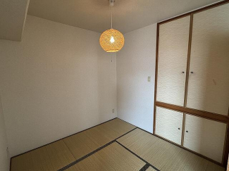 カサコモドの画像