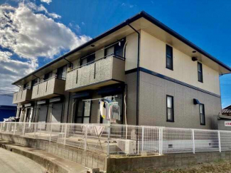 ハイカムール坂井の画像