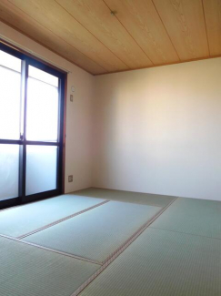 ハイカムール坂井の画像