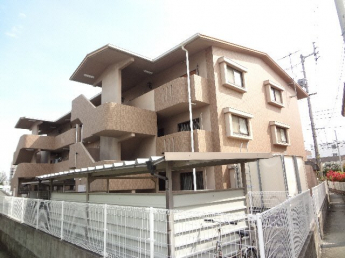 完成写真