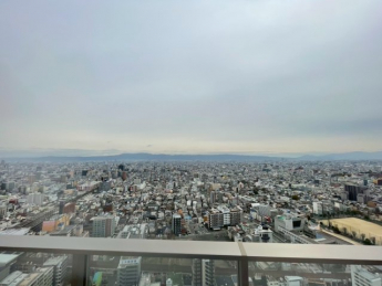【展望】