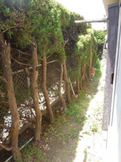宝塚市中筋６丁目のアパートの画像