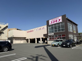 コスモス　東加古川店まで600m