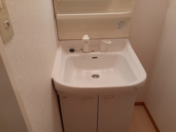 忙しい朝には欠かせない洗面所です